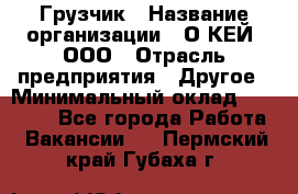 Грузчик › Название организации ­ О’КЕЙ, ООО › Отрасль предприятия ­ Другое › Минимальный оклад ­ 25 533 - Все города Работа » Вакансии   . Пермский край,Губаха г.